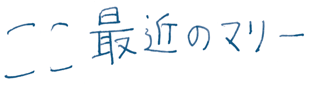 ここ最近のマリー